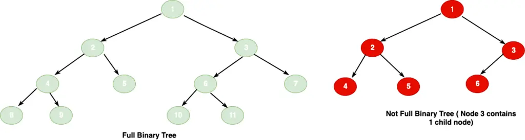 Full Binary Tree