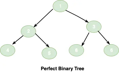 Perfect Binary Tree