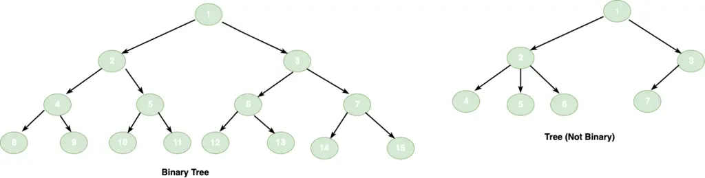 binary tree