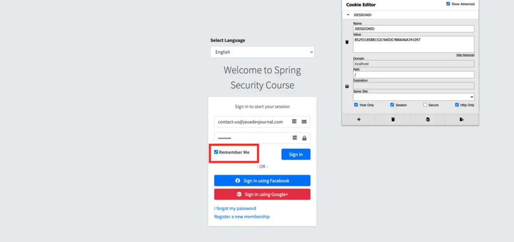 Spring security remember me authentication