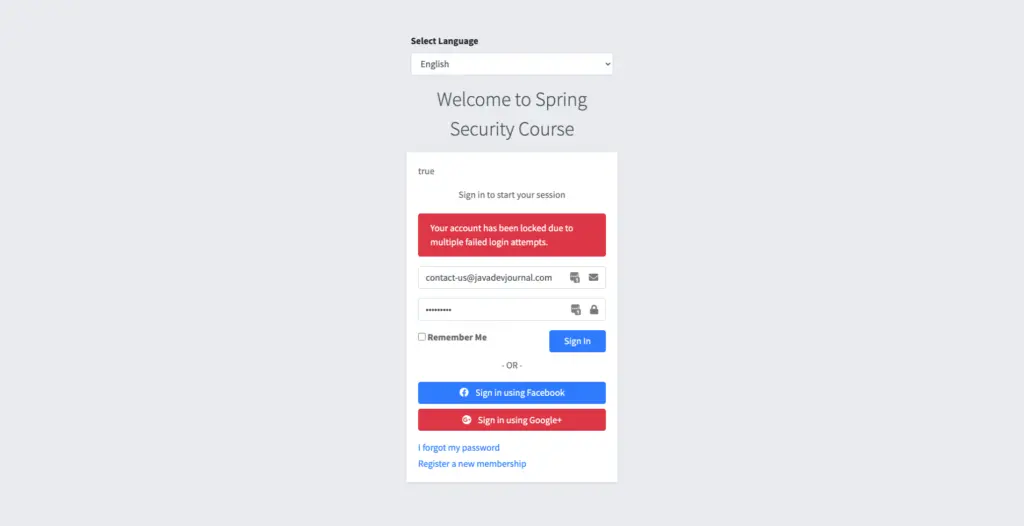 Spring Security Brute Force Protection